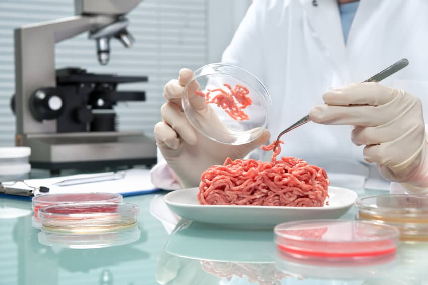 Carne Prodotta In Laboratorio: Una Rivoluzione Possibile