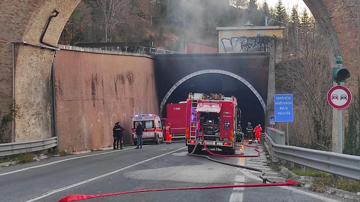 Massimo, L'autista Eroe Che Ha Salvato I Bambini A Urbino: "Una Sua ...